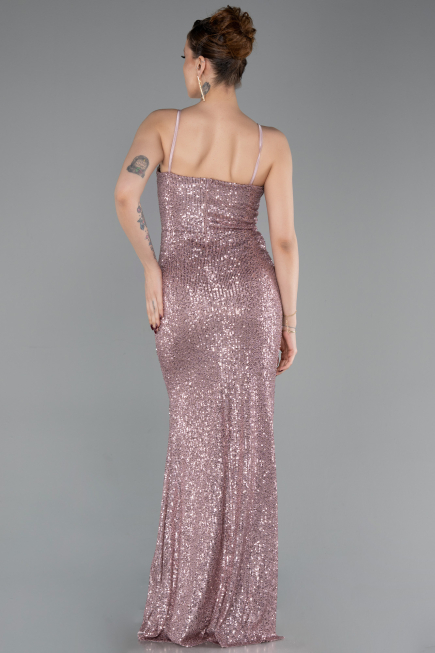 Robe de Soirée Longue Poudre ABU6106