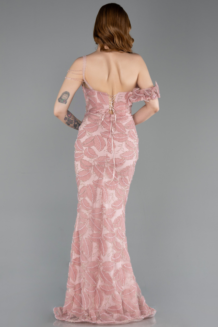 Robe de Soirée Longue Poudre ABU6059