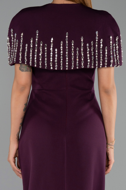 Robe de Soirée Longue Prune ABU5889