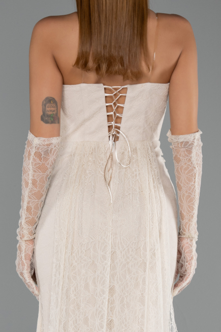 Robe Queue de Poisson Longue Dantelle Beige ABU6256