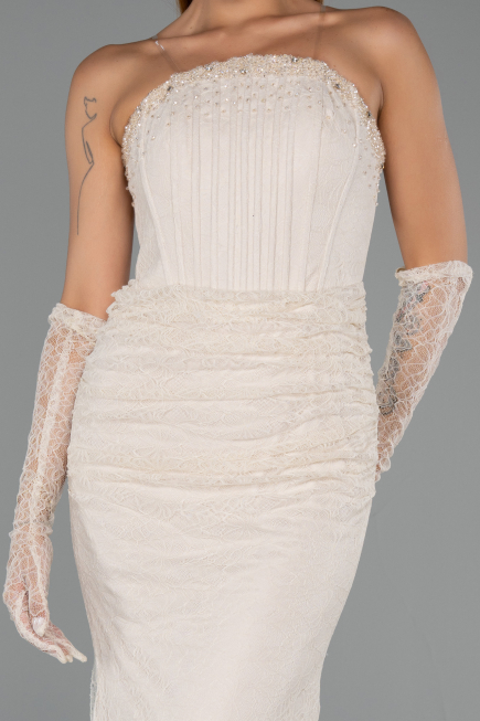 Robe Queue de Poisson Longue Dantelle Beige ABU6256